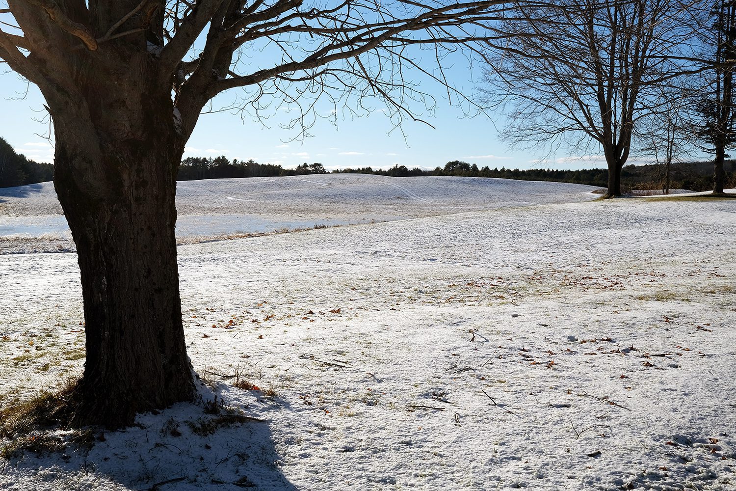 Winter field